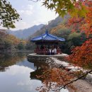 내장산캠핑카