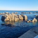 빌라드메르 이미지