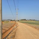 황토갯벌랜드1 이미지