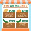 싱싱채소과일