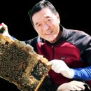 들꽃도서관 | 충주 꽃꿀 개울너머 들꽃 숙성꿀 상품 홍보 계획 아이보스 마케팅 뉴스 쿨리핑