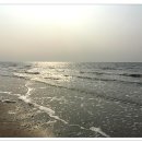 고창선운산풍천장어 이미지