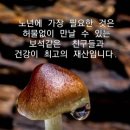 9월30일 월요일 오늘의 책속의 한마디 이미지