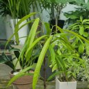 북유성대로(유성-28) 이미지