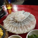 논산포차 | 간곳들안양 n번째 신화수산 솔직후기 웨이팅 꿀팁 / 논산훈련소포차 / 이정래정육식당 명학점 / 통영굴...