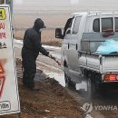 자정농장 이미지