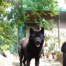 우리두리 이미지