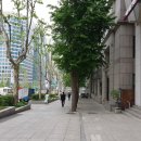 강남-278 이미지