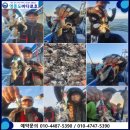원낚시백화점 이미지