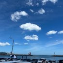 일광회타운 티스토리