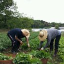 신봉농장 이미지