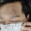 강동실비