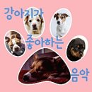 샤넬멍