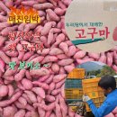 고구마책방 이미지