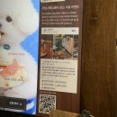 531카페 | 천안 애견동반카페 추천! 봉명동 대형카페 노트밀 후기