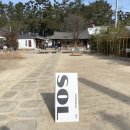 솔(sol) 이미지
