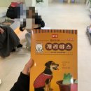 BYC개리야스 강아지내복 대형견도 가능하다