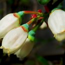 보물단지 이미지