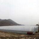 부농 농장 이미지