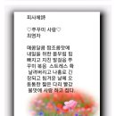 쭈꾸미사랑 이미지