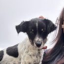 만물민박 이미지