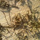 섭이농장 이미지