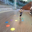 야외음악당(실외) 이미지