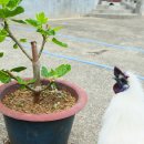 샤인목욕탕 이미지