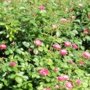 동산에너지 이미지