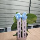 함평군장애인보호작업장 이미지