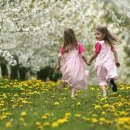 좋은선물 이미지