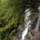 오봉농장 이미지