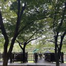 마루공원 축구장_2 이미지