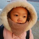 선창유치원 이미지