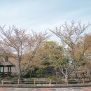 대흘보건진료소 | 제주도 한달살기 #18. 닭머르 해안길, 대흘리보건소