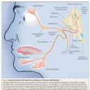 동의본한의원 이미지