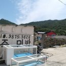 손죽민박 이미지