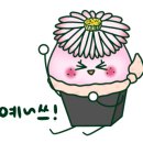 연정풀펜션 이미지