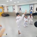자이태권도 네이버블로그