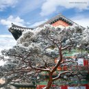 여주-1076 이미지