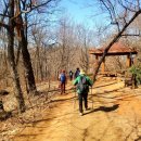 올레길 산림형 3코스 이미지