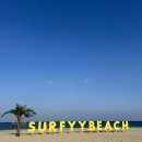 지오마트 | 양양 감성숙소 펜션 지오 파인트리 오션뷰 숙소 후기