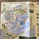 세부 여행 [4일차] ▶ 플랜테이션베이 숙박 후기 / 수영장, 포토스팟, 부대시설 등 / 쉐라톤 호텔 비교