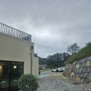 빵하루 | 제천여행 리솜 근처 카페 빵과함께하는하루 내돈내산 후기