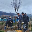 무궁화농원 이미지