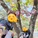 성균관숲유치원 이미지