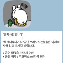 목계나루 아가씨 | [뮤지컬 공연 후기] 목계나루 아가씨
