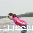 해초클럽 이미지