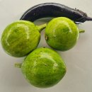 오늘된찌 이미지