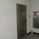 완월동240 이미지